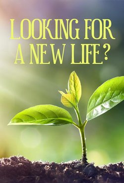 Looking for a New Life?