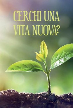 Cerchi una vita nuova?